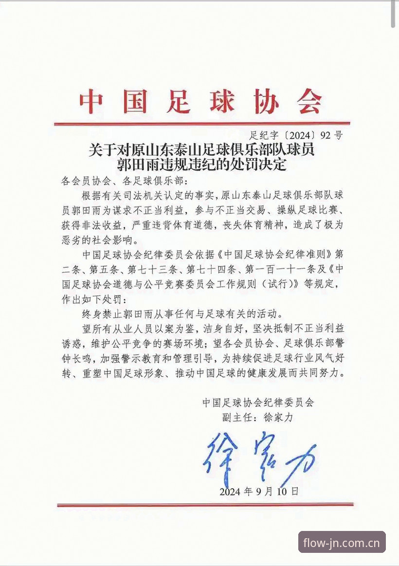 中国足协第三批禁足名单全面解析：17人终身禁赛背后足球生态的深度反思